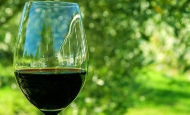Natural Wines