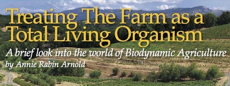 Treating the Farm as a Total Living Organism Biodynamic Article image