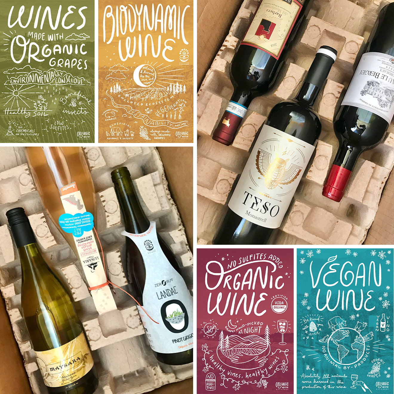Organic Wine Exchange